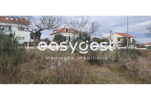 Helårsgrund i Castelo Branco, Castelo Branco, Castelo Branco - € 26.000 | Ref: CB87778MA - foto 11