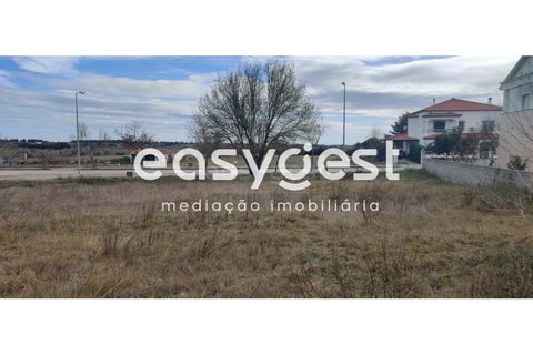 Helårsgrund i Castelo Branco, Castelo Branco, Castelo Branco - € 26.000 | Ref: CB87778MA - foto 12
