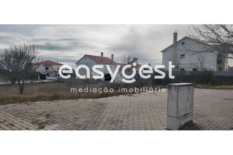 Helårsgrund i Castelo Branco, Castelo Branco, Castelo Branco - € 26.000 | Ref: CB87778MA - foto 19