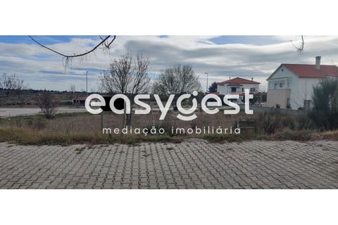 Helårsgrund i Castelo Branco, Castelo Branco, Castelo Branco - € 26.000 | Ref: CB87778MA - foto 20