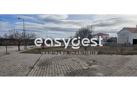 Helårsgrund i Castelo Branco, Castelo Branco, Castelo Branco - € 26.000 | Ref: CB87778MA - foto 22
