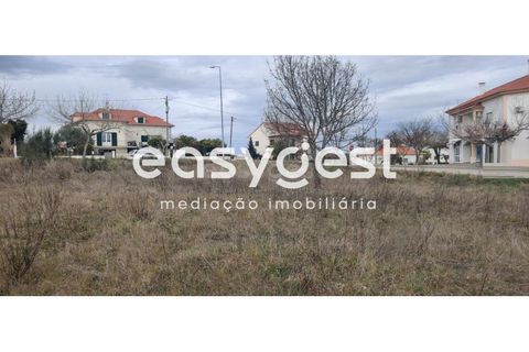 Helårsgrund i Castelo Branco, Castelo Branco, Castelo Branco - € 26.000 | Ref: CB87778MA - foto 26