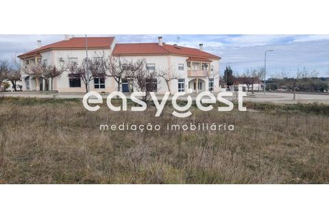 Helårsgrund i Castelo Branco, Castelo Branco, Castelo Branco - € 26.000 | Ref: CB87778MA - foto 27
