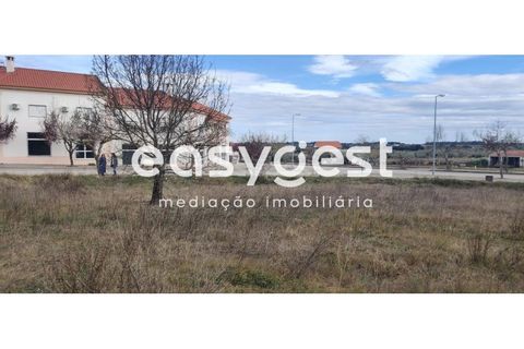 Helårsgrund i Castelo Branco, Castelo Branco, Castelo Branco - € 26.000 | Ref: CB87778MA - foto 29