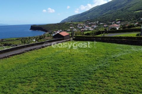 Helårsgrund i Prainha, Pico, Prainha - € 350.000 | Ref: AZ87855MK - foto 3