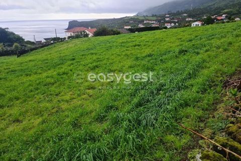 Helårsgrund i Prainha, Pico, Prainha - € 350.000 | Ref: AZ87855MK - foto 12