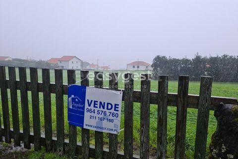 Helårsgrund i Prainha, Pico, Prainha - € 350.000 | Ref: AZ87855MK - foto 16