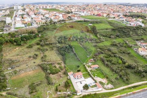 Helårsgrund i Odivelas, Lisbon, Odivelas - € 45.000 | Ref: 124151054-40 - foto 6