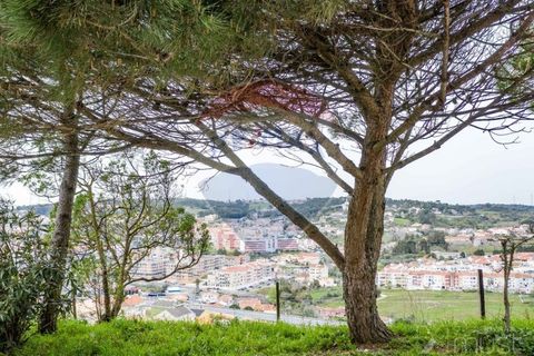 Helårsgrund i Odivelas, Lisbon, Odivelas - € 45.000 | Ref: 124151054-40 - foto 10