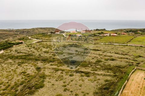 Helårsgrund i Sintra, Lisbon, Sintra - € 40.000 | Ref: 124151102-34 - foto 4