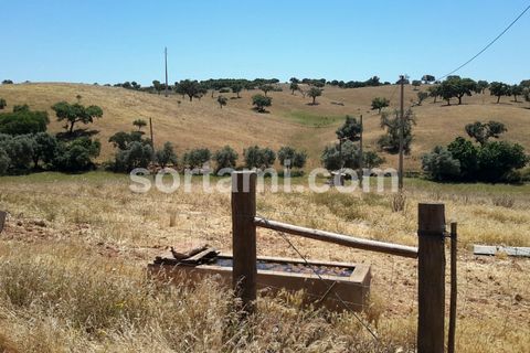 Villa i Serpa, Beja, Serpa - € 400.000 | Ref: Sort13683 - foto 6