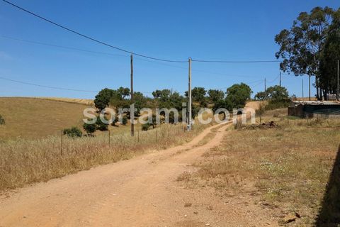 Villa i Serpa, Beja, Serpa - € 400.000 | Ref: Sort13683 - foto 7