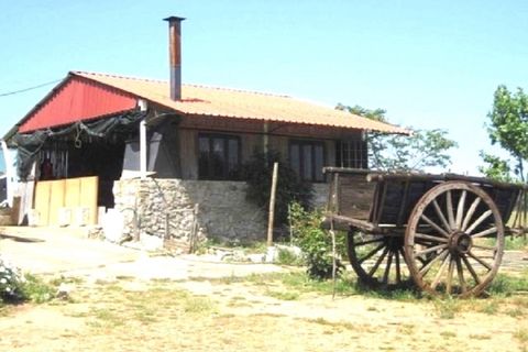 Landejendom i Vila Nova de Sao Bento e Vale de Vargo, Beja, Vila Nova de Sao Bento e Vale de Vargo - € 520.000 | Ref: W6039 - foto 3