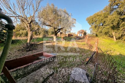 Villa en Abrantes, Santarem, Abrantes - € 25.000 | Ref: 10362 - photo 14