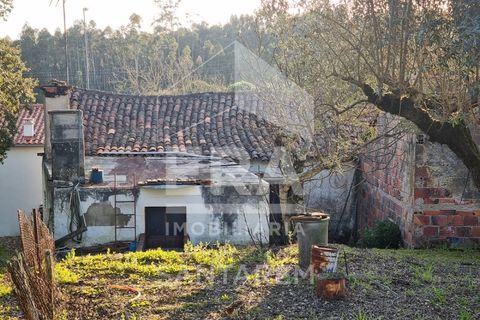 Villa en Abrantes, Santarem, Abrantes - € 25.000 | Ref: 10362 - photo 15