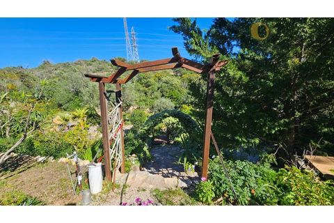 Villa i Estoi, Faro, Estoi - € 690.000 | Ref: MO7064 - foto 5