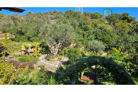 Villa i Estoi, Faro, Estoi - € 690.000 | Ref: MO7064 - foto 21