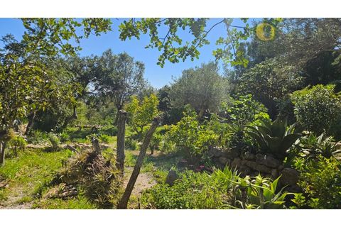 Villa i Estoi, Faro, Estoi - € 690.000 | Ref: MO7064 - foto 23