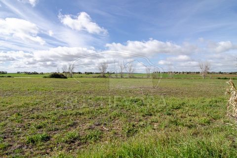 Helårsgrund i Evora, Evora, Evora - € 45.000 | Ref: 1799 - foto 2