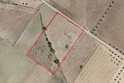 Helårsgrund i Evora, Evora, Evora - € 45.000 | Ref: 1799 - foto 4