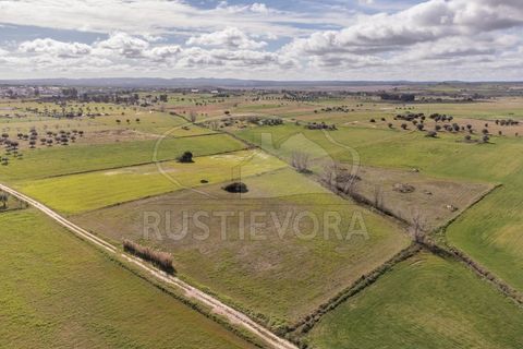 Helårsgrund i Evora, Evora, Evora - € 45.000 | Ref: 1799 - foto 5