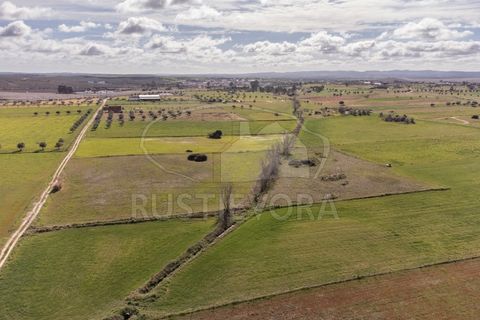 Helårsgrund i Evora, Evora, Evora - € 45.000 | Ref: 1799 - foto 6