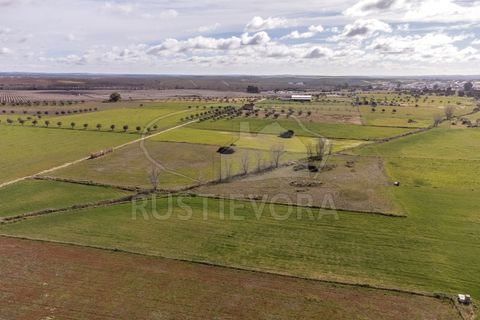 Helårsgrund i Evora, Evora, Evora - € 45.000 | Ref: 1799 - foto 7