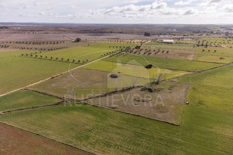 Helårsgrund i Evora, Evora, Evora - € 45.000 | Ref: 1799 - foto 8