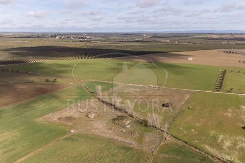 Helårsgrund i Evora, Evora, Evora - € 45.000 | Ref: 1799 - foto 9