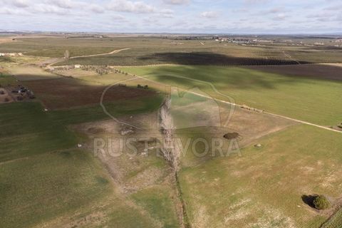 Helårsgrund i Evora, Evora, Evora - € 45.000 | Ref: 1799 - foto 10