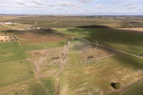 Helårsgrund i Evora, Evora, Evora - € 45.000 | Ref: 1799 - foto 11