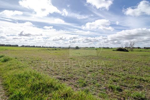 Helårsgrund i Evora, Evora, Evora - € 45.000 | Ref: 1799 - foto 13
