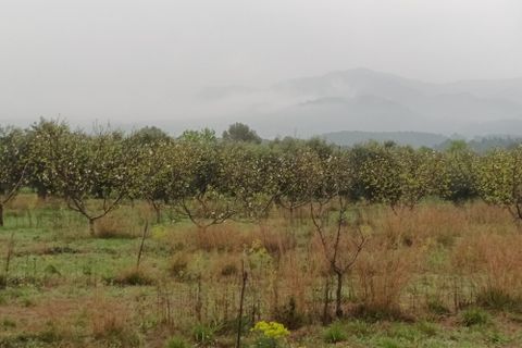 Farm i Mora La Nova, Tarragona, Mora La Nova - € 75.000 | Ref: 767 Green Acres - foto 26