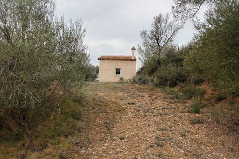 Farm i Mora La Nova, Tarragona, Mora La Nova - € 75.000 | Ref: 767 Green Acres - foto 13