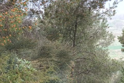 Farm i Mora La Nova, Tarragona, Mora La Nova - € 75.000 | Ref: 767 Green Acres - foto 21