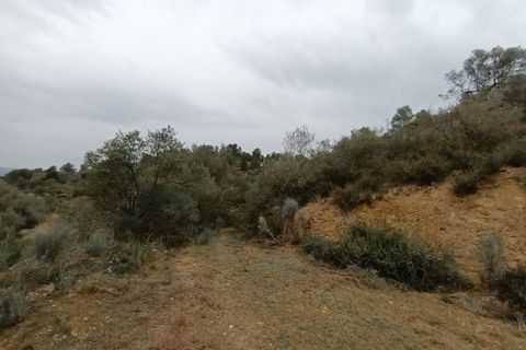 Farm i Mora La Nova, Tarragona, Mora La Nova - € 75.000 | Ref: 767 Green Acres - foto 15
