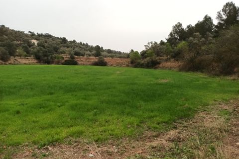 Farm i Mora La Nova, Tarragona, Mora La Nova - € 75.000 | Ref: 767 Green Acres - foto 4