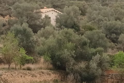 Farm i Mora La Nova, Tarragona, Mora La Nova - € 75.000 | Ref: 767 Green Acres - foto 1