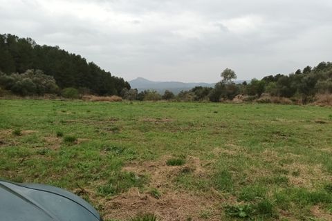 Farm i Mora La Nova, Tarragona, Mora La Nova - € 75.000 | Ref: 767 Green Acres - foto 10