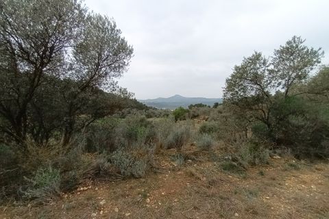 Farm i Mora La Nova, Tarragona, Mora La Nova - € 75.000 | Ref: 767 Green Acres - foto 14