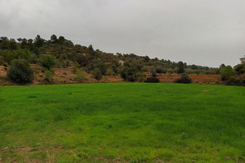 Farm i Mora La Nova, Tarragona, Mora La Nova - € 75.000 | Ref: 767 Green Acres - foto 7