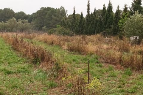 Farm i Mora La Nova, Tarragona, Mora La Nova - € 75.000 | Ref: 767 Green Acres - foto 22
