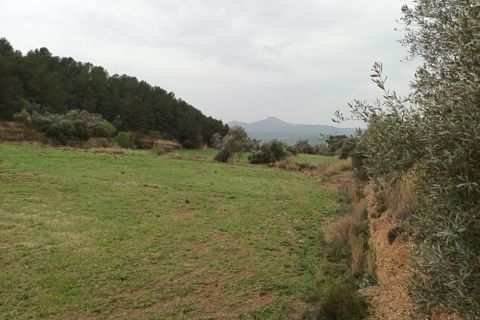 Farm i Mora La Nova, Tarragona, Mora La Nova - € 75.000 | Ref: 767 Green Acres - foto 17