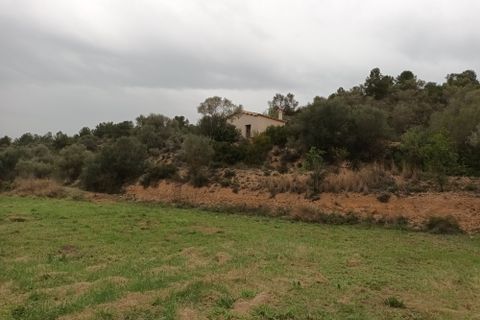 Farm i Mora La Nova, Tarragona, Mora La Nova - € 75.000 | Ref: 767 Green Acres - foto 12