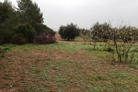 Farm i Mora La Nova, Tarragona, Mora La Nova - € 75.000 | Ref: 767 Green Acres - foto 24