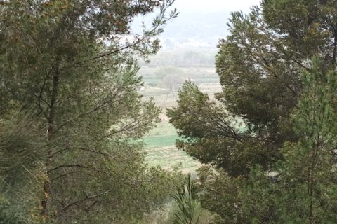 Farm i Mora La Nova, Tarragona, Mora La Nova - € 75.000 | Ref: 767 Green Acres - foto 20