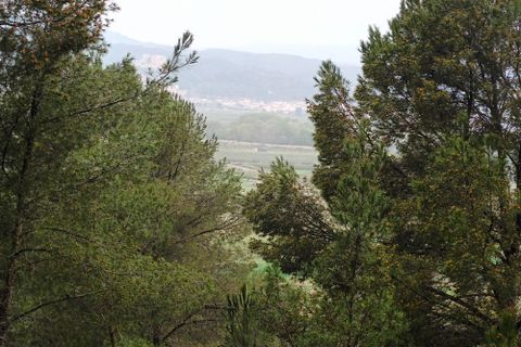 Farm i Mora La Nova, Tarragona, Mora La Nova - € 75.000 | Ref: 767 Green Acres - foto 16