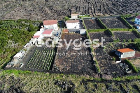 Villa i Sao Mateus, Graciosa, Sao Mateus - € 397.000 | Ref: AZ86313FR - foto 5