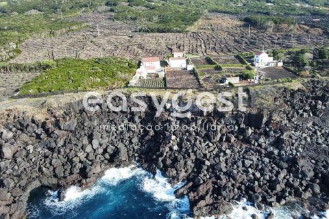 Villa i Sao Mateus, Graciosa, Sao Mateus - € 397.000 | Ref: AZ86313FR - foto 6