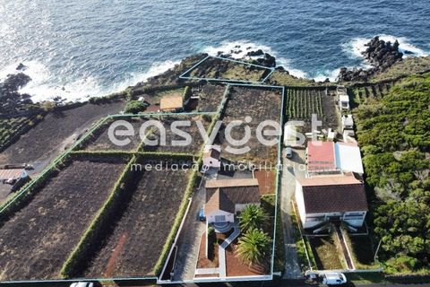 Villa i Sao Mateus, Graciosa, Sao Mateus - € 397.000 | Ref: AZ86313FR - foto 7